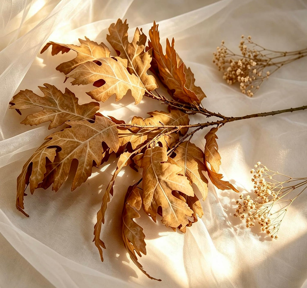 Dried brown oak leaves on a branch arranged on white sheer fabric with soft sunlight and small dried baby's breath flowers.