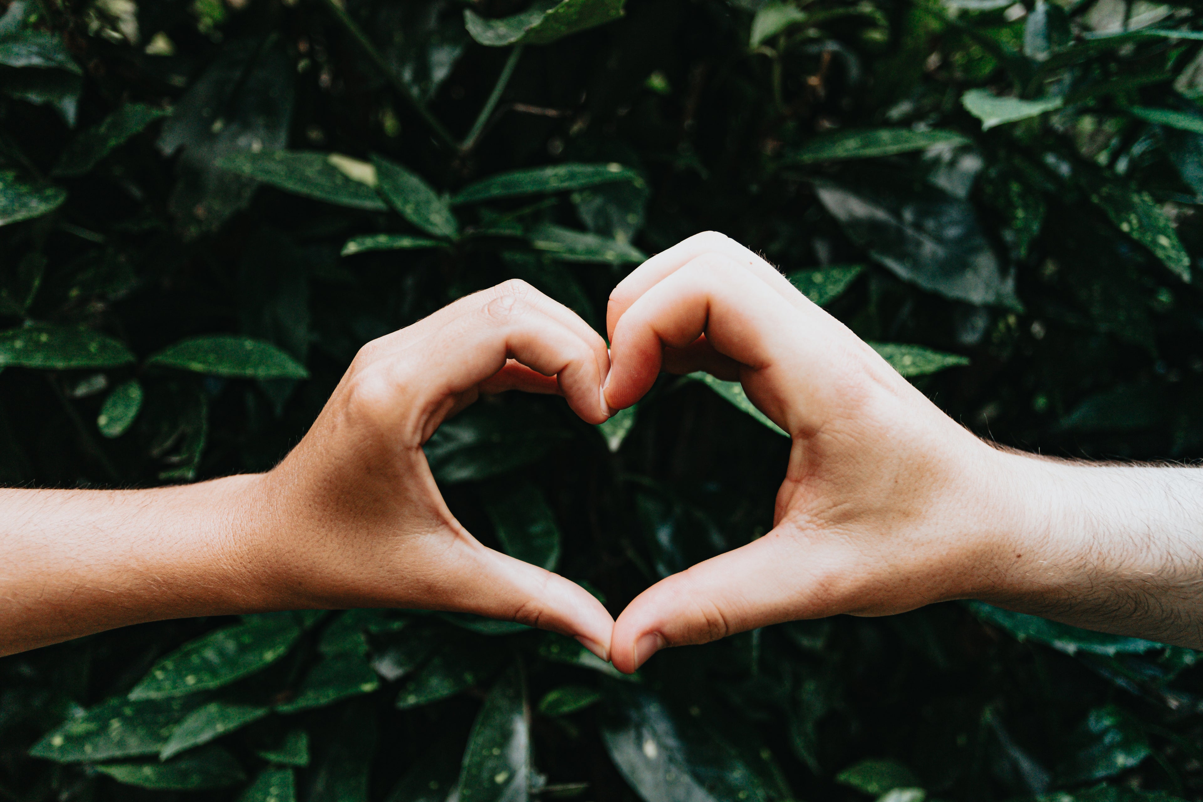 Heartfelt Designs